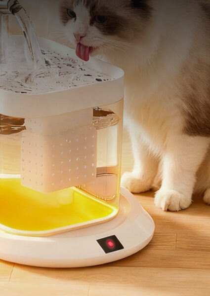 Cat drinking from the heated pet water fountain